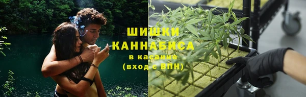 спиды Алексеевка