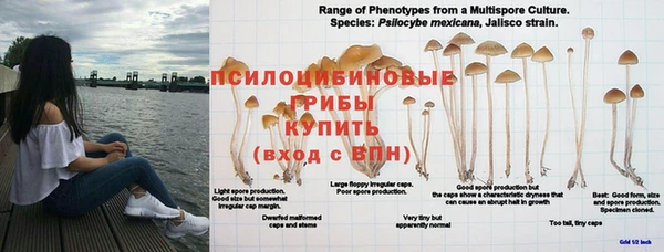 спиды Алексеевка